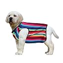 Western Era Funky Soft Cotton Dog T-Shirt | Comfortable &amp; Breathable Dog Clothing | Sleeveless Vest Puppy Outfit |(Color Strips) (XXLarge) (28inches)