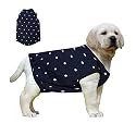 Western Era Funky Soft Cotton Dog T-Shirt, Comfortable Dog Clothing, Sleeveless Vest Puppy Outfit, Apparel (Medium - 16inches, Polka Blue)