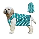 Western Era Funky Soft Cotton Dog T-Shirt | Comfortable &amp; Breathable Dog Clothing | Sleeveless Vest Puppy Outfit (XSmall - 12inches, Polka Sky Blue)