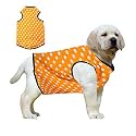 Western Era Funky Soft Cotton Dog T-Shirt, Comfortable Dog Clothing, Sleeveless Vest Puppy Outfit, Apparel (XXSmall - 10inches, Polka Orange)