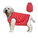 Western Era Funky Soft Cotton Red Dog T-Shirt - Comfortable Dog Clothing for Your Stylish Pup,Fun and Stylish Apparel, Reliable and Comfortable Dog Clothing,Dress Your Pup in Fashion. (Red, 30 Inch)