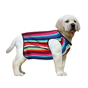 western era super soft trendy printed shirt - ultra comfort dog apparel for your fashionable furiesuper soft trendy printed shirt for dogs available color strips print medium 16 inche