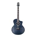 BeTrost Westwood Electro-Acoustic Guitar (with Fishman Pickup)