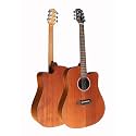 Westwood (DC-10) Acoustic Guitar (Mahogany)