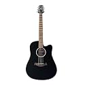 Westwood (DC-10) Acoustic Guitar (Black)