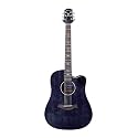 Westwood (DC-480E F AW) Electro-Acoustic Guitar (With FISHMAN Pickup) Transparent Black