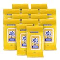 Wet Ones for Pets Deodorizing Dog Wipes, Tropical Splash, 100 Count, 12-Pk