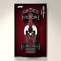 WETCEAOM Display Wallboard for Lego Speed Champions Alfa Romeo F1 C42, Compatible with Lego F1 Car, Gift Ideas for Lego Car Wall Mount Enthusiast, Size:19.7X 31.5in