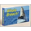 Whale Breach Flipbook for Kids Ages 6-12, Animation Flip Book for Children