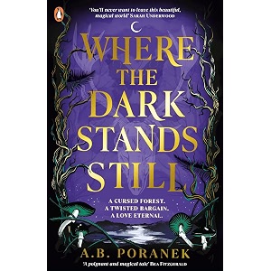 where the dark stands still a sweeping gothic ya fairytale romance