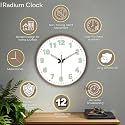 WHISKET - 12 Inch Radium Silent