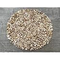 White Bamboo Coral Chips – Natural Mini White Bamboo Coral Stones, Crushed Undrilled White Bamboo Coral, Semi-Tumbled Genuine White Bamboo Coral (1/4 lb)