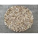 White Bamboo Coral Chips – Natural Mini White Bamboo Coral Stones, Crushed Undrilled White Bamboo Coral, Semi-Tumbled Genuine White Bamboo Coral (3 lbs Bulk)