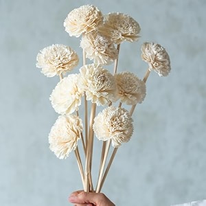 white carnation sola flower sticks 10 sticks  dry flower bouquet  includes sola flower table decoration vase filler home decor vase not included