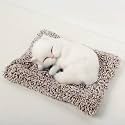 White Cat Toys - Car Accessories for Dashboard - Activated Charcoal Car Air Purifier - Toy Car Dashboard Accessories - Stuff Toy Car Dashboard Accessories Toys