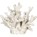 White Coral Decor - Coral Reef Decor (6.5inx5inx5.5in) - Faux Resin Decoration - Nautical Decorations - Beach Home Decor