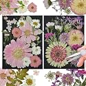 White Dried Pressed Flowers, 40Pcs Real Nature Flowers Set with Tweezers