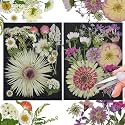 White Dried Pressed Flowers, 40Pcs Real Nature Flowers Set with Tweezers