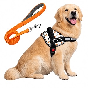 White Paw Dog Vest Harness with Leash