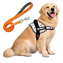 White Paw Dog Vest Harness with Leash