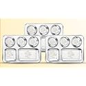 WHITE STAR 304 18/8 Stainless Steel Plates for Kids &amp; Adult (Combo- 3 Pcs, Dia- 35 cm, Design- Rose),Dining Delight |Classic Dinner Plates for Every Occasion |5 in 1 Compartment Plates