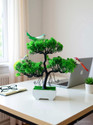 WhiteAsh With 3 birds Bonsai Wild Artificial