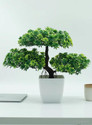WhiteAsh Bonsai Wild Artificial Plant  with Pot