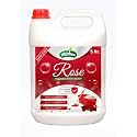 White Phenyl - 5 Liter Liquid Disinfectant Floor Cleaner Surface Disinfectant Cleaner for Hospitals, Homes, Offices &amp; Commercial Use Removes Dirt, Stains &amp; Germs (Rosephenyl5ltr)