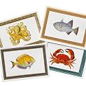 Whitman and Daughter Pretty Ocean Thank You Notes (24 Cards, 4.25 X 6 Inch) Marine Animal Theme for Fisherman Retirment, Birthday Invitations or Classy Fish Thank You Notes