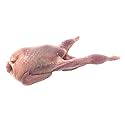 Whole Quail Bone-in - Includes 36 Whole Quail / 4.0-5.0 oz. each - 6 packages of 6 Frozen Whole All Natural Quail Meat - Ready to Cook - Product of the USA