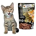45g Chicken &amp; Pineapple Cat &amp; Kitten Treat | High-Protein Snack | Antioxidant-Rich | Crunchy &amp; Healthy | Wholesome | Training | Easy to Digest