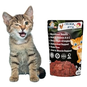 chicken amp apple cat treat  protein rich  great antioxidants  crunchy healthy snacks  45g