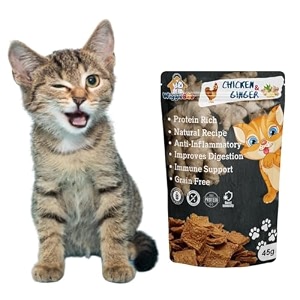 chicken amp ginger cat treat - irresistible flavor fusion for a healthy pet the perfect snack to satisfy your cat craving a burst of chicken amp ginger flavor to delight your cat palate 45g