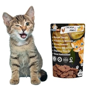 chicken amp mango cat treat  protein rich  fiber rich  crunchy healthy snacks  training treat  45gm