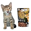 Chicken &amp; Mango Cat Treat | Protein Rich | Fiber Rich | Crunchy Healthy Snacks | Training Treat | 45gm