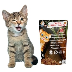 chicken carrot amp pumpkin cat treat  protein rich  natural detoxifier  crunchy snack  45g