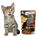 Chicken, Carrot &amp; Pumpkin Cat Treat | Protein Rich | Natural Detoxifier | Crunchy Snack | (45g)