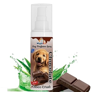 dog perfume spray choco crush deo for dog amp cat alcohol free amp paraben free spa-like grooming odor neutralizer pet-safe unleash inner glam long lasting fragrance choco crush 100 ml
