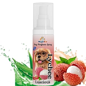 perfume spray luscious lychee deo for dog amp cat alcohol free amp paraben free spa-like grooming odor neutralizer pet-safe unleash inner glam long lasting fragrance luscious lychee 100 ml