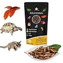 Natural Protein Treat Dried Cricket Great for Reptiles, Tropical Fish, Birds, Hedgehogs, Sugar Gliders, Tutle & Hamster (30gm)