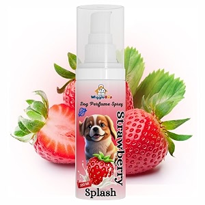 dog perfume spray strawberry splash deo for dog amp cat alcohol amp paraben free spa-like grooming odor neutralizer pet-safe long lasting fragrance strawberry splash 100 ml