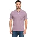 WILD ELEPHANT Men Cotton Striped Polo Neck