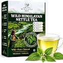 Wild Himalayan Nettle Urtica Himalayensis from 8500
