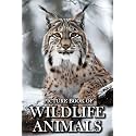Wildlife Animals: Picture Books For Adults With Dementia And Alzheimers Patients - Beautiful Photos Of Wild Scenes with Animals