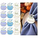 WILLBOND 12 Pcs Fall Thanksgiving Pumpkin Napkin Rings, Blue White