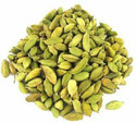 WILLVINE LX-3 Cardamom Elettaria cardamomum Seeds Seed (100 per packet)