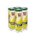 Wilson Championship Regular and Extra Duty Tennis Balls