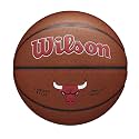 Wilson NBA Team Alliance Basketballs