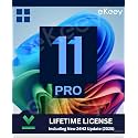 Win 11 Pro Product License Key (1 User/PC, Lifetime Validity) 32/64 bit | Unlimited Reinstallations (Quick Delivery)