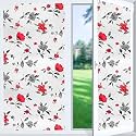 Windowx Vinyl Frosted Window Self Adhesive Privacy